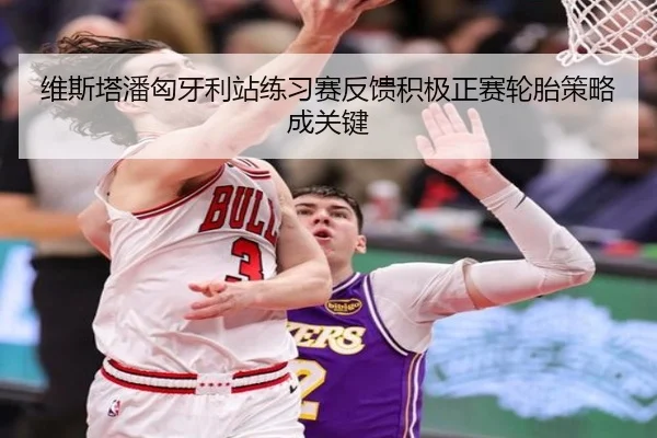 维斯塔潘匈牙利站练习赛反馈积极正赛轮胎策略成关键