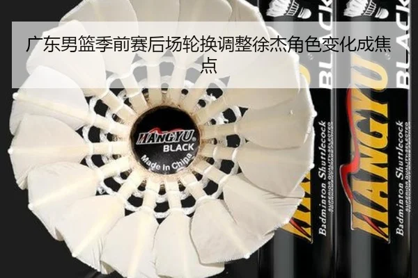 广东男篮季前赛后场轮换调整徐杰角色变化成焦点（HUAQIU.COMapp）