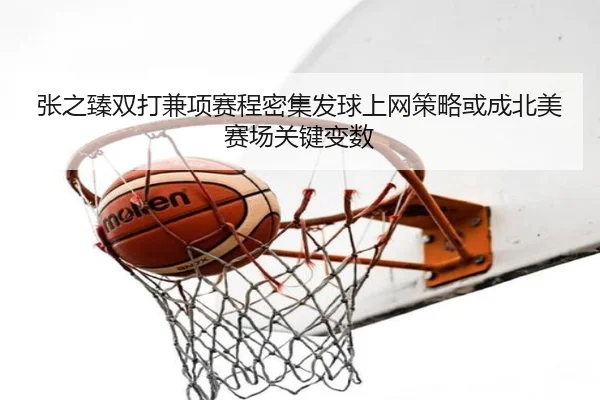 张之臻双打兼项赛程密集发球上网策略或成北美赛场关键变数 | HUAQIU.COMapp